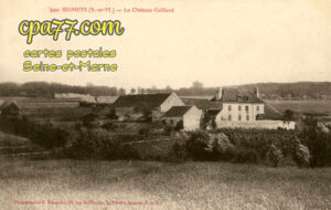 Signy Signets (Seine-et-Marne) - Le Château Gaillard