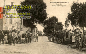 Soignolles En Brie (Seine-et-Marne) - Route de Champeaux