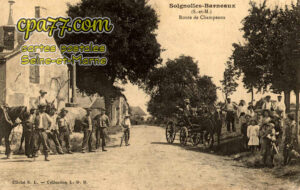 Soignolles En Brie (Seine-et-Marne) - Route de Champeaux