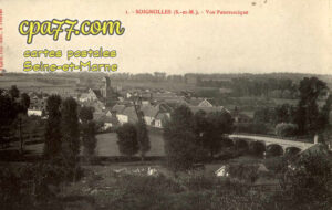 Soignolles En Brie (Seine-et-Marne) - Vue panoramique