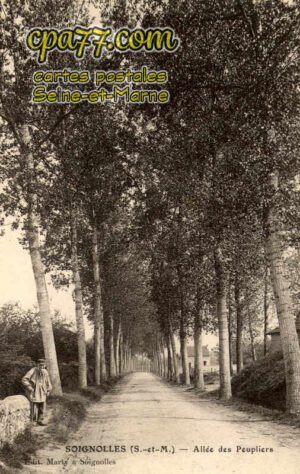 Soignolles En Brie (Seine-et-Marne) - Allée des peupliers