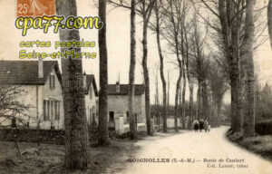 Soignolles En Brie (Seine-et-Marne) - Route de Coubert