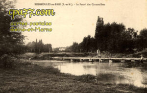 Soignolles En Brie (Seine-et-Marne) - Le Perrel des Cornouillets