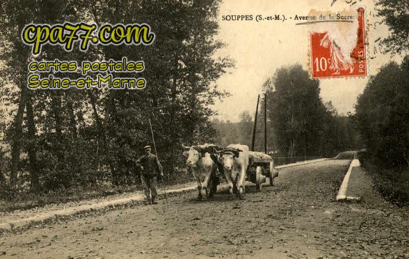 Souppes Sur Loing (Seine-et-Marne) - Avenue de la Sucrerie