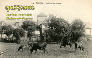 Thieux (Seine-et-Marne) - La Ferme du Château