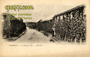Thomery (Seine-et-Marne) - La Route de By