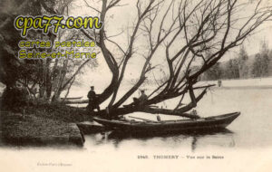 Thomery (Seine-et-Marne) - Vue sur la Seine