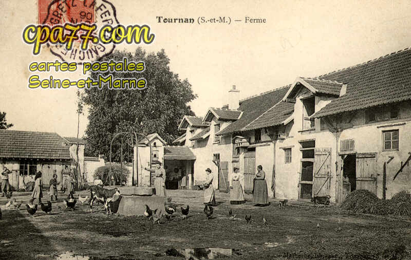 Tournan En Brie (Seine-et-Marne) - Ferme