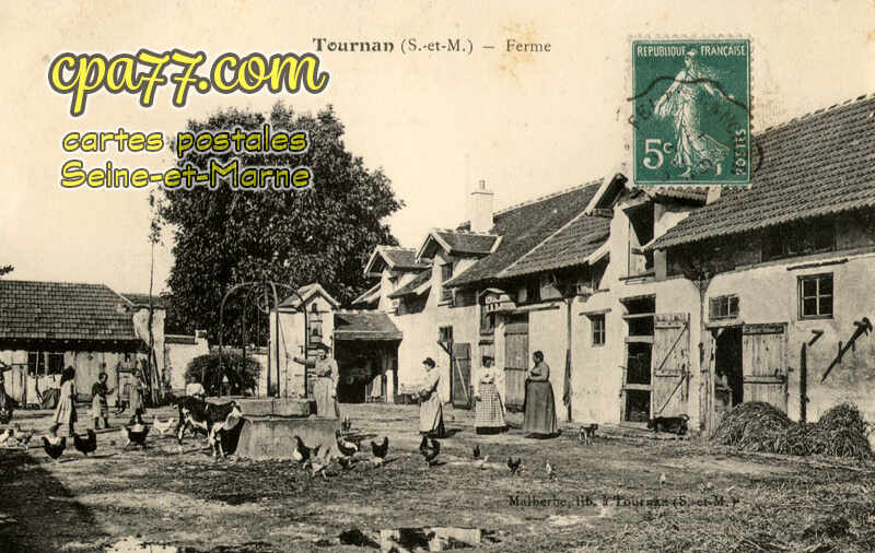 Tournan En Brie (Seine-et-Marne) - Ferme