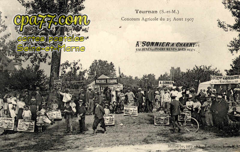 Tournan En Brie (Seine-et-Marne) - Concours Agricole du 25 Août 1907