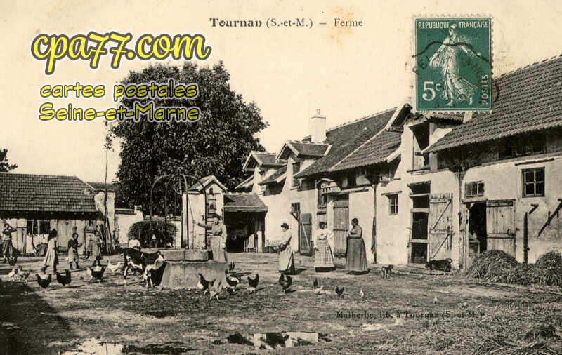 Tournan En Brie (Seine-et-Marne) - Ferme
