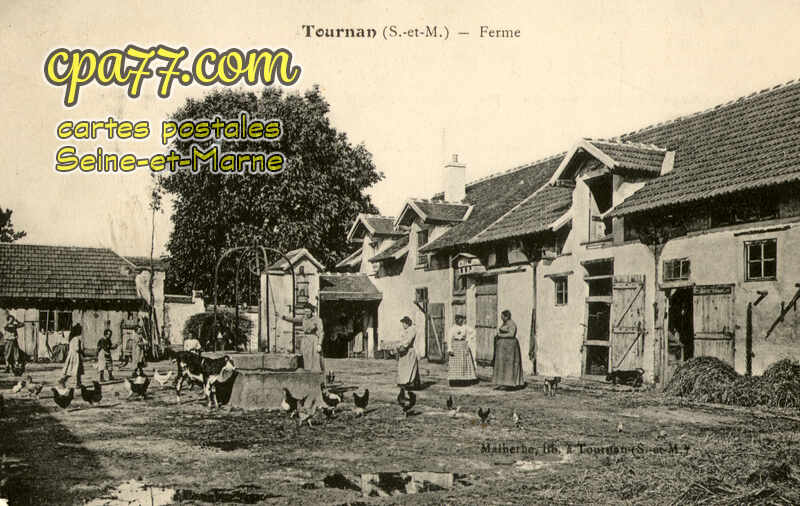 Tournan En Brie (Seine-et-Marne) - Ferme