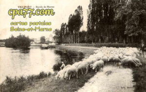 Trilport (Seine-et-Marne) - Bords de Marne