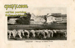 Trilport (Seine-et-Marne) - Pâturages aux Basses Fermes