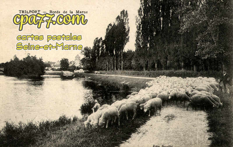 Trilport (Seine-et-Marne) - Bords de la Marne
