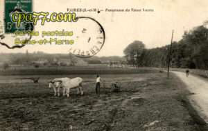 Vaires Sur Marne (Seine-et-Marne) - Panorama du Vieux-Vaires