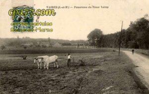 Vaires Sur Marne (Seine-et-Marne) - Panorama du Vieux Vaires