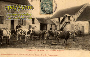 Verdelot (Seine-et-Marne) - La Ferme de la Fée