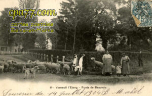 Verneuil L'étang (Seine-et-Marne) - Route de Beauvoir