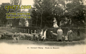 Verneuil L'étang (Seine-et-Marne) - Route de Beauvoir