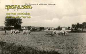 Vignely (Seine-et-Marne) - Paysage à Vignely