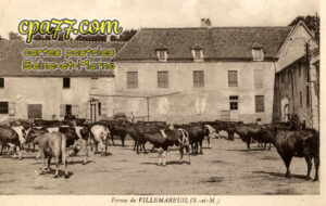 Villemareuil (Seine-et-Marne) - Ferme de Villemareuil