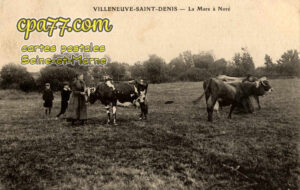 Villeneuve St Denis (Seine-et-Marne) - La Mare à Noré