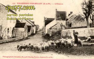 Villeneuve Sur Bellot (Seine-et-Marne) - L&rsquo;Ormeron