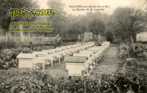 Villiers Sur Morin (Seine-et-Marne) - Le Rucher de M. Laurent