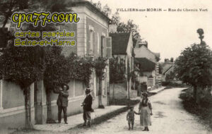 Villiers Sur Morin (Seine-et-Marne) - Rue du Chemin Vert