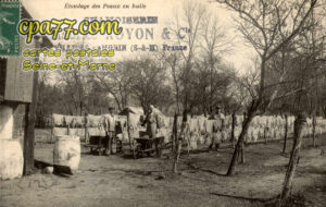 Villiers Sur Morin (Seine-et-Marne) - Etandage des Peaux en huile