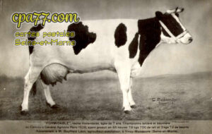 Vincy Manoeuvre (Seine-et-Marne) - « Formidable », vache Hollandaise âgée de 7 ans. Championne laitière et beurrière au Concours Général Agricole Paris 1928, ayant produit en 48 heures 78 kgs 700 de lait et 3 kgs 72 de beurre.