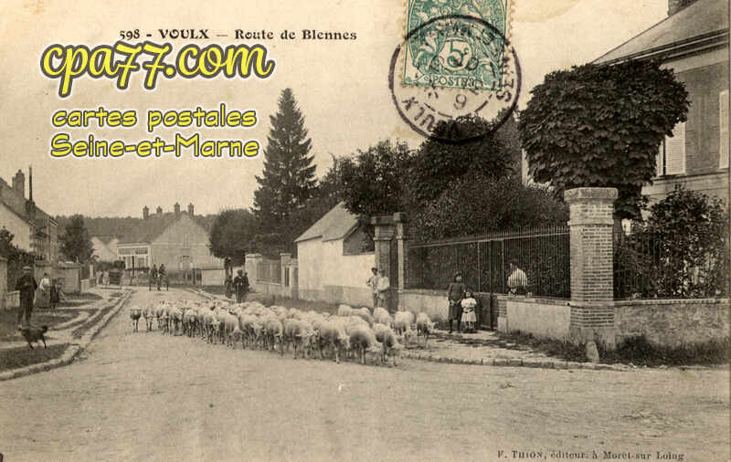 Voulx (Seine-et-Marne) - Route de Biennes